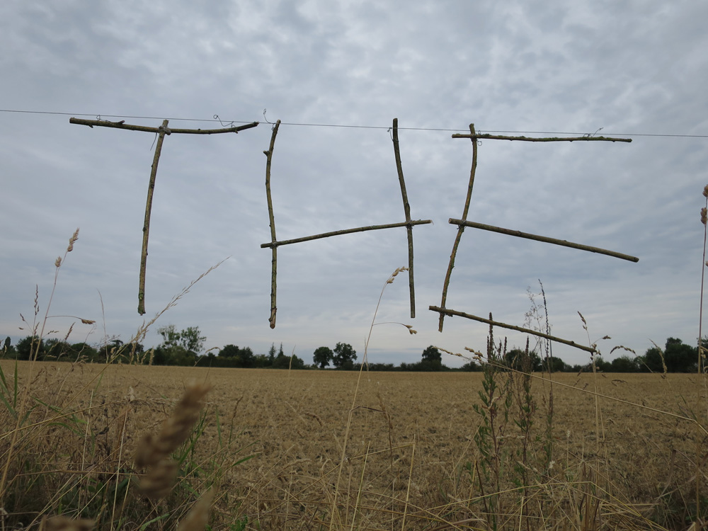 STILL NOT OUT OF THE WOODS - Chateau Gontier. 2015 (Sculptural suspended twig-text)